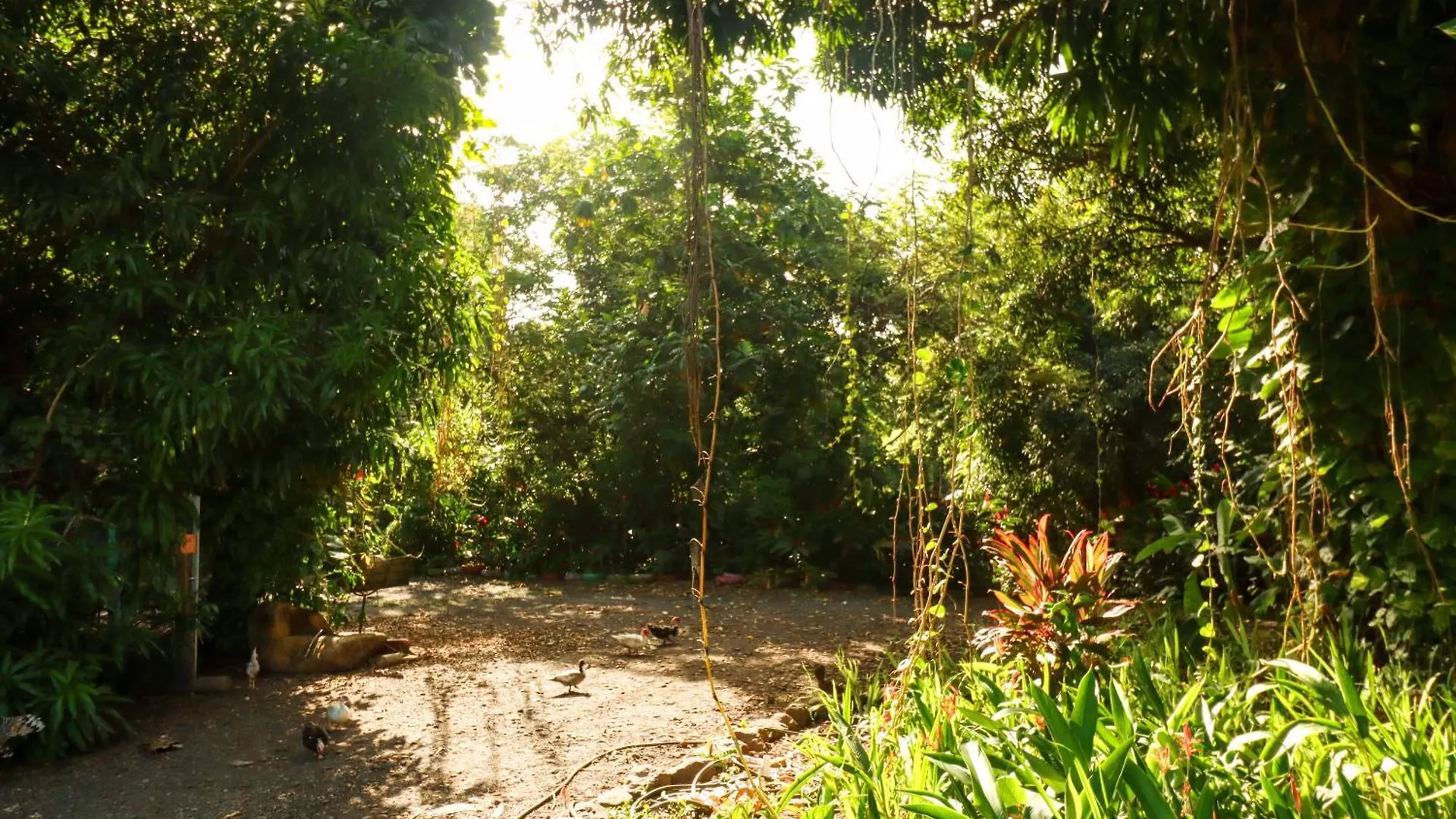 La Casa De Vida Natural リオ・グランデ ベッド・アンド・ブレックファスト